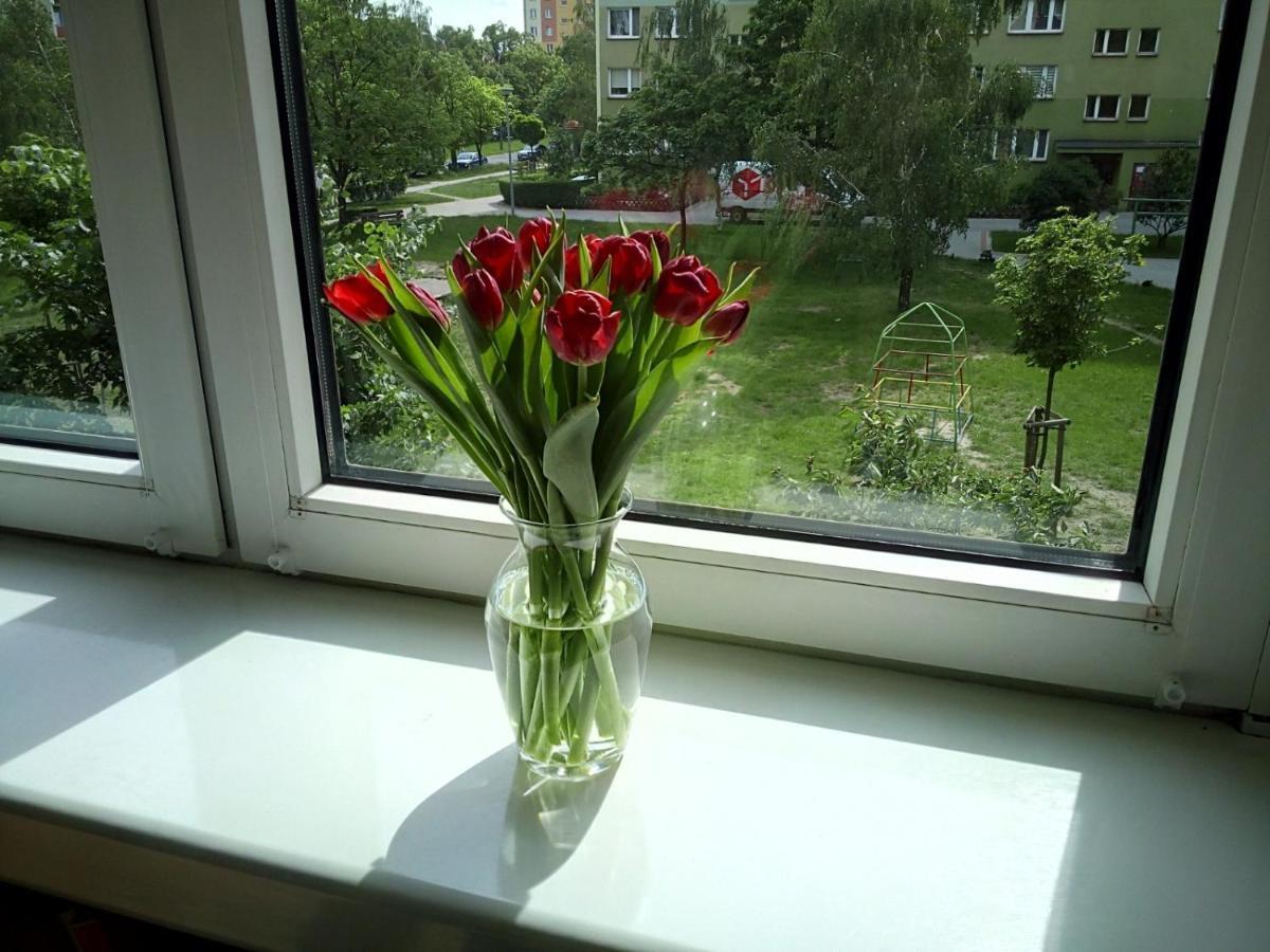 Apartament Usmiech Płock Eksteriør billede