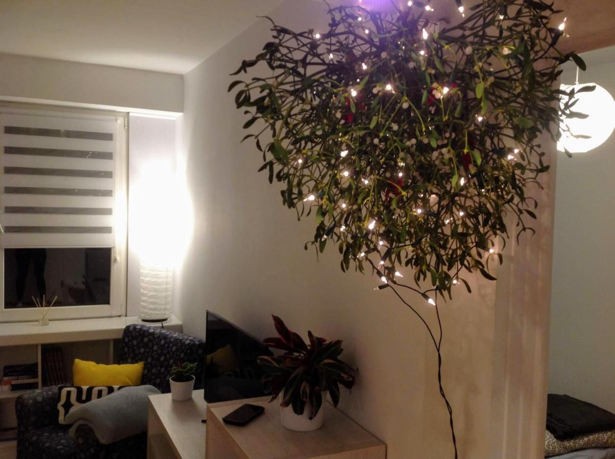 Apartament Usmiech Płock Eksteriør billede